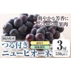 ぶどう 258. 訳ありつる付きニューピオーネ