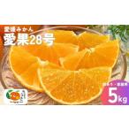 ふるさと納税 果物類 みかん 愛媛県 伊予市 愛果28号 5kg ご家庭用 訳あり レッスルファーム みかん 紅まどんなと同一品種 愛媛 2026年11月下旬から順次発送予…