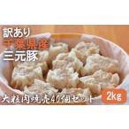 惣菜 レトルト 冷凍 訳あり 産三元豚 大粒肉焼売40個セット…