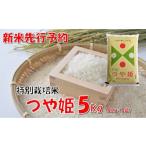 ふるさと納税 米 つや