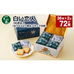 焼菓子 チョコレート クッキー 1ヶ月毎2回定期便