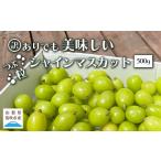 ふるさと納税 山梨県 笛吹市 【ふるさと納税】訳ありだけど美味しい 2024年発送 シャインマスカット 粒 約500g 山梨県笛吹市 ふるさと納税 シャインマスカット…