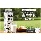 飲料類 牛乳 定期便2回 吉本牛乳 さかわの地乳 1L×12本セッ…