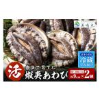 ふるさと納税 魚貝類 アワビ 兵庫県 香美町 冷蔵 活あわび 養殖 9cm×2枚 160〜200g (1個80〜100g) 満点青空レストラン うまい おせち2023に採用されました …