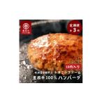 ふるさと納税 牛肉 ハンバーグ 北海道 帯広市 毎月定期便 豊西牛100%ハンバーグ 10枚セット全3回 4011604