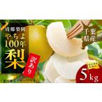 ショッピングふるさと納税 梨 ふるさと納税 梨 千葉県 八千代市 2026年発送先行受付 周郷梨園のやちよ100年梨家庭用(5kg) 1493891