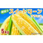ふるさと納税 とうもろこし 長野県 山形村 スイートコーン「グラビス」 5kg(2L〜3L) 長野県 山形村 2413