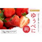 ふるさと納税 いちご 熊本県 熊本市 絢音ベリー農園 絢 いちご ゆうべに 計1kg （250g×4）イチゴ 苺 果物 くだもの フルーツ 2025年12月上旬〜2026年4月下旬…
