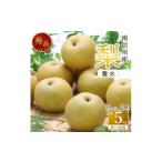 ふるさと納税 梨 長野県 高森町 南信州産 梨「豊水」秀品約5kg(8玉〜16玉) 2025年9月上旬より発送 長野県 信州 高森町 産地直送 果物 くだもの なし ナシ …