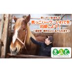 感謝状等 思いやり型返礼品 きふと 馬っこパーク