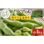fu.... налог бобы Chiba префектура большой сеть белый . город предшествующий предварительный заказ :2027 год 5 месяц после отправка перевод есть Chiba префектура производство боб 4kg кожа имеется ..... налог .... боб боб садовый Chiba префектура большой сеть...