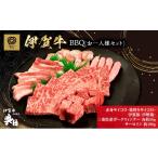 牛肉 セット 伊賀牛 BBQ バーベキュー 一人用