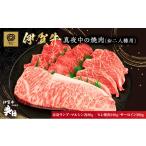 牛肉 セット 伊賀牛 焼肉 二人用 460g