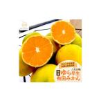 ふるさと納税 果物類 みかん 和歌山県 上富田町 《先行予約・2026年10月〜発送》特選 ゆら早生有田みかん 5kg［サイズ混合］［MS25］