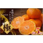 ふるさと納税 果物類 みかん 和歌山県 新宮市  先行予約 ＼光センサー選別／極 有田みかんプレミアム 約5kg 光センサー 高糖度選別品 2S〜Lサイズ 有機質肥料1…