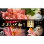 牛肉 焼肉 バーベキュー おおいた和牛 定期便A