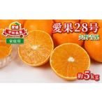 果物類 みかん 愛果28号 紅まどんな と同品種 5kg