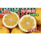 ふるさと納税 果物類 �