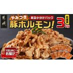 ふるさと納税 豚肉 ホルモン 宮崎県 都城市 やみつき豚ホルモン 3kg 真空小分けパック みやこんじょ特急便 _LG8-3303-Q_(都城市) 国産豚 ホルモン 味付き 300g…