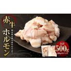 牛肉 ホルモン 赤牛ホルモン 500g
