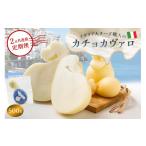加工品等 チーズ 定期便 カチョカヴァロ Caciocavallo 500g