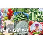セット 詰合せ 四季折々の野菜 山菜セット