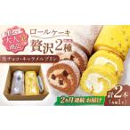 ケーキ カステラ ロールケーキ 2回定期便