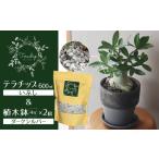 花 苗木 三河焼 植木鉢 ダークシルバー テラチップいぶし