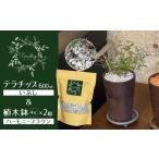 花 苗木 三河焼植木鉢ハーモニーブラウン