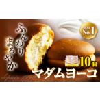 ふるさと納税 焼菓子・チョコレート 大阪府 羽曳野市 お菓子 マダムヨーコ 60g × 10個 株式会社フラワー《30日以内に出荷予定(土日祝除く)》大阪府 羽曳野市 …