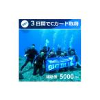 イベントやチケット等 BIG BLUE スキューバダイビング