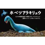 ホベツアラキリュウ 首長竜 きょうりゅう