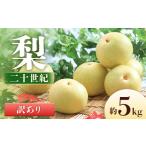 ふるさと納税 梨 長野県 豊丘村  2026年発送先行予約 梨 二十世紀 訳あり 約5kg 8〜16玉 　 2026年9月発送予定