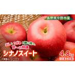 ふるさと納税 りんご 長野県 中野市 先行受付 りんご シナノスイート 4.8kg 長野県産_ りんご リンゴ 林檎 シナノスイート シナノ スイート しなの すいーと …