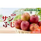 ふるさと納税 りんご 長野県 中野市 訳あり 先行受付 りんご サンふじ 5kg 家庭用 長野県産_ りんご ふじ サンふじ リンゴ 林檎 サンふじりんご 甘い 訳あり …