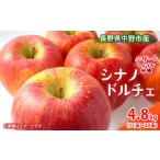 ふるさと納税 りんご 長野県 中野市 先行受付 シナノドルチェ 4.8kg 長野県産_ りんご 林檎 リンゴ シナノドルチェ フルーツ 果物 ふるーつ くだもの 国産 旬…