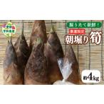 fu.... налог дикоросы *.. . Ehime префектура . мир остров город .4kg утро .. ограниченное количество предшествующий предварительный заказ свежий .... побеги бамбука весна овощи овощи дикоросы свежий бамбук. . утро один .. длина ....