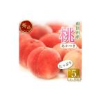 ふるさと納税 もも 長野県 高森町 R8年分 先行受付 南信州産 あかつき約5kg(秀品)光センサー選別品 2026年7月中旬より発送 信州 産地直送 ギフト 果物 くだ…