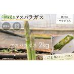 野菜類 アスパラガス 朝採れアスパラガス2kg