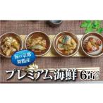 缶詰 瓶詰 魚貝類 京都舞鶴 6缶セット 75g×6缶