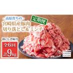 豚肉 セット 定期便6回 豚肉詰め合わせ 豚肉切り落とし&豚肉ミンチ 2種セット