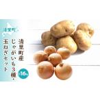 ふるさと納税 野菜類 じゃがいも 北海道 清里町 先行予約 清里町産じゃがいも3種・玉ねぎセット 計16kg (2025年10月中旬より順次発送) ふるさと納税 人気 …