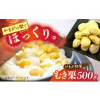 fu.... налог фрукты вид каштан Kumamoto префектура гора олень город .. каштан примерно 500g( примерно 250g×2pc) sumire ферма каштан ...... Kumamoto префектура Kyushu производство местного производства ZEP059