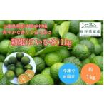 果物類 熊野薬草園の新姫 にいひめ 1kg