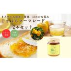 ジャム 砂糖不使用じゃばらマーマレード 140g×2本
