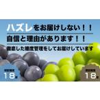 ふるさと納税 ぶどう 巨峰 山梨県 笛吹市 全房糖度保証付 王道ピオーネとシャインマスカット食べ比べ 合計約1kg 数量限定 旬の美味しいフルーツだけをお届け…