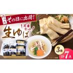 加工品等 ゆば 湖北ゆば満足セット なかや