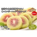 果物類 ぽぽ農園 訳あり レインボーレッドキウイ