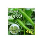 豆類 安西農園の美味しいソラマメ 4キロ