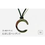 アクセサリー ペンダント 茅ヶ崎サザンCえぼし岩ペンダントM
